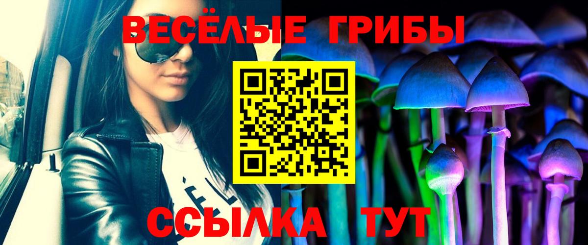 Псилоцибиновые грибы GOLDEN TEACHER  Вход с VPN  Салават 